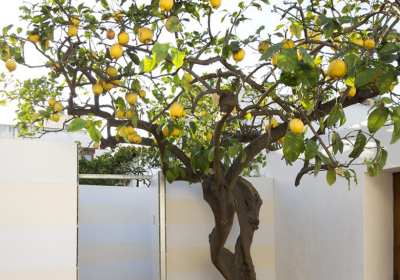 Villaggio Turistico Loft Loria